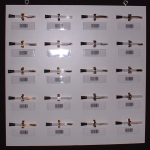 Homo indicium: Panel